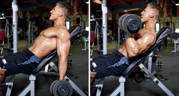 incline-bench-dumbbell-bicep-curl