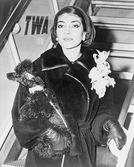 Мария Каллас c собакой. Фото / Maria Callas & dog photo