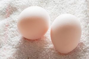 preview16 2 300x200 - Полезны ли куриные яйца?