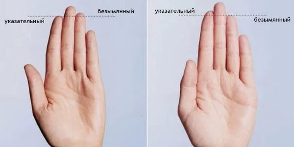 разная длина пальцев