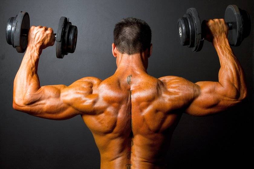 Как накачать плечи (дельтовидные мышцы)? Упражнения и тренировка