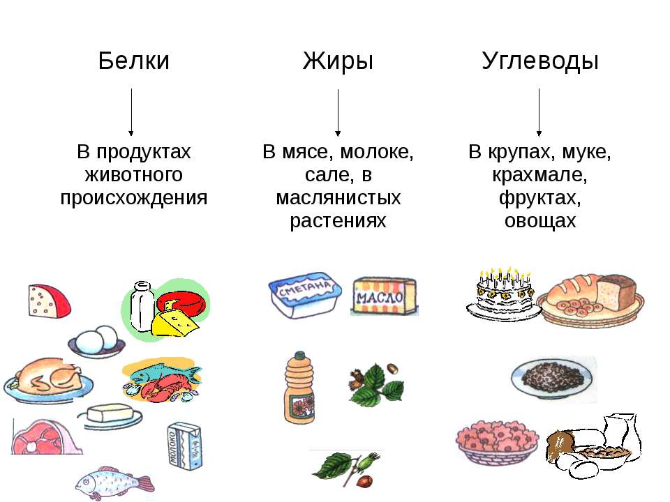 Белки жиры и углеводы презентация