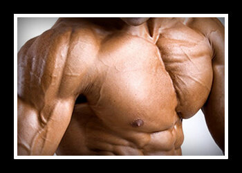 Как накачать грудные мышцы гантелями