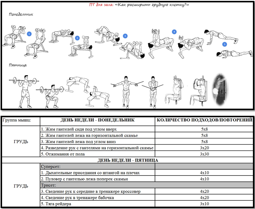 Программа тренировок для зала: как расширить грудную клетку