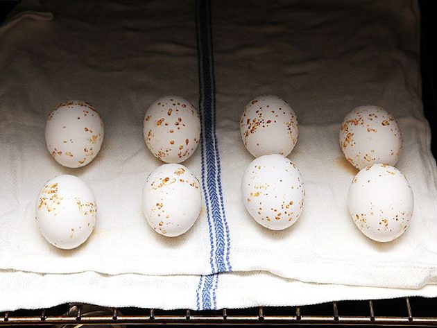 Как готовить яйца в духовке