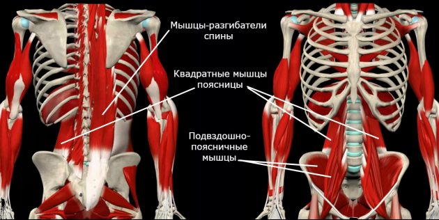 Жёсткие мышцы