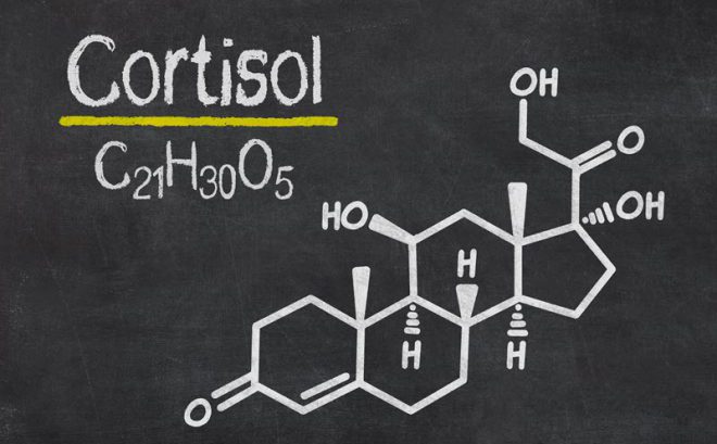 Что такое кортизол