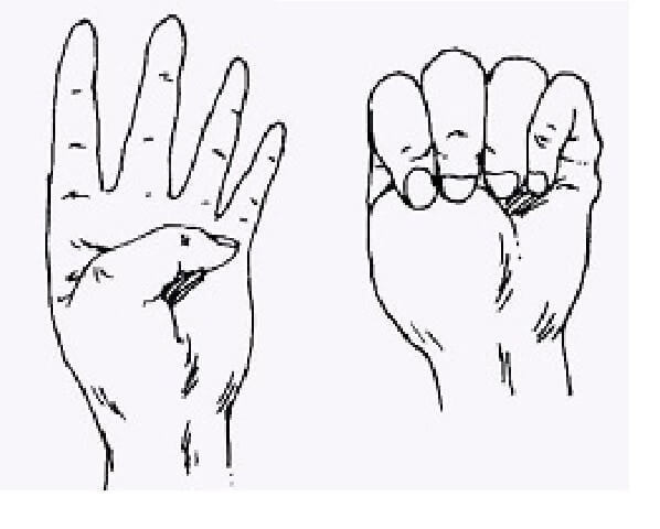 Лечение тела простыми упражнениями для пальцев рук