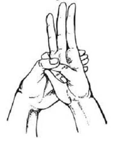 Лечение тела простыми упражнениями для пальцев рук