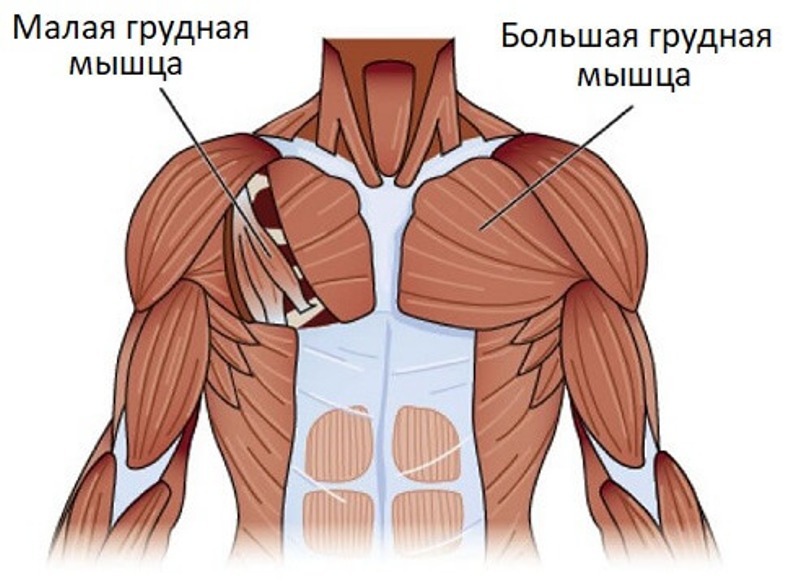 Упражнения на растяжение грудных мышц