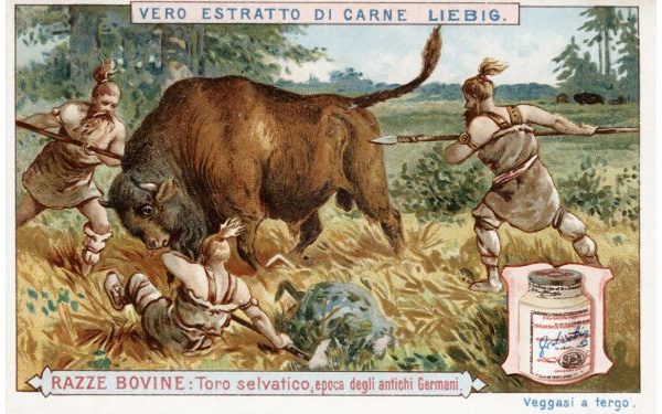 Итальянская этикетка мясного экстракта Либиха (1900 г.)