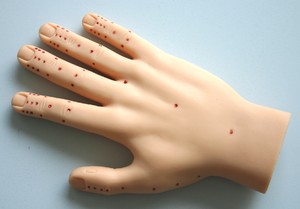 Точки на руке, отвечающие за органы, и их проекция на ладони
