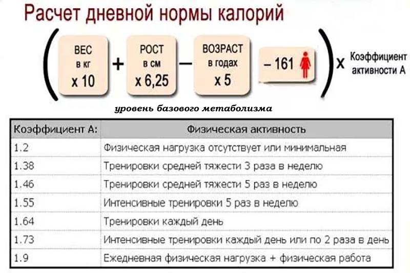 Расчёт дневной нормы калорий