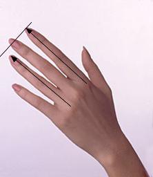 безымянный палец длиннее указательного у женщин 