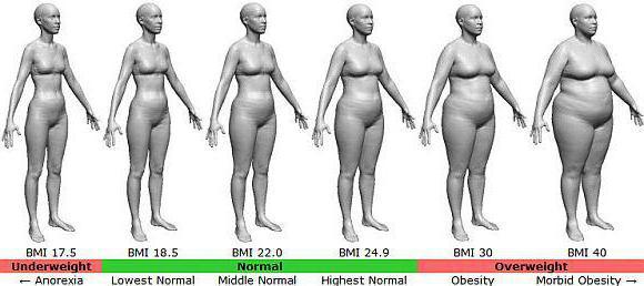 пропорции веса и роста у женщин