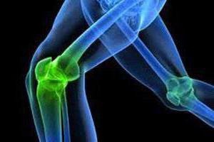 связки укрепляющие коленный сустав