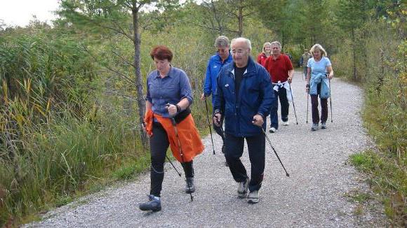 польза скандинавской ходьбы с палками после инсульта 