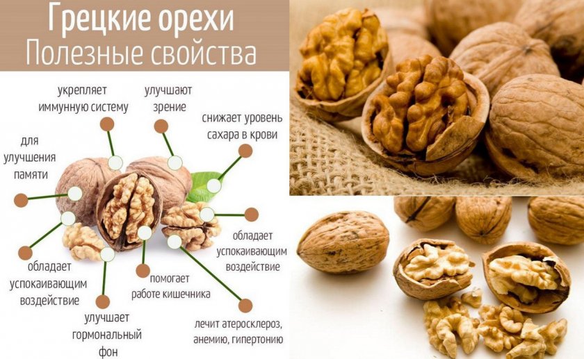 Полезные свойства грецкого ореха