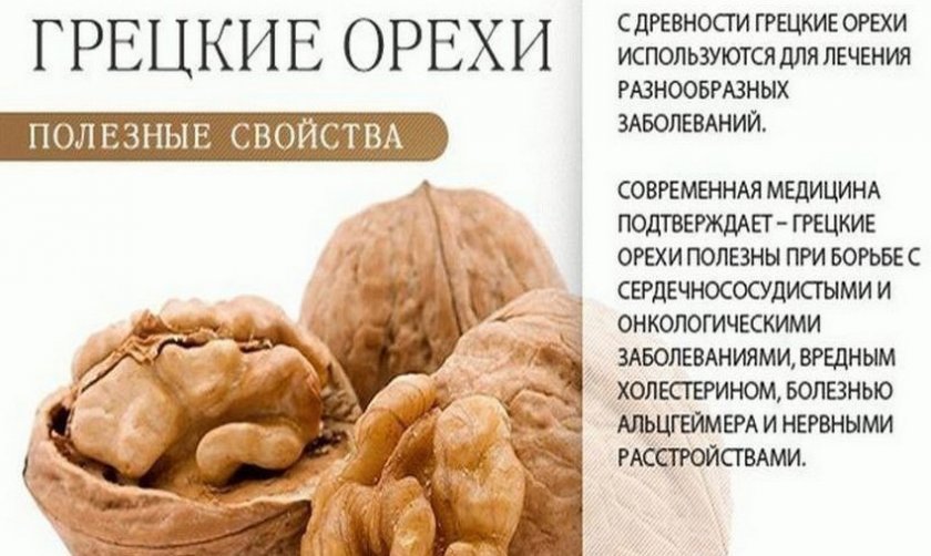 Польза грецких орехов