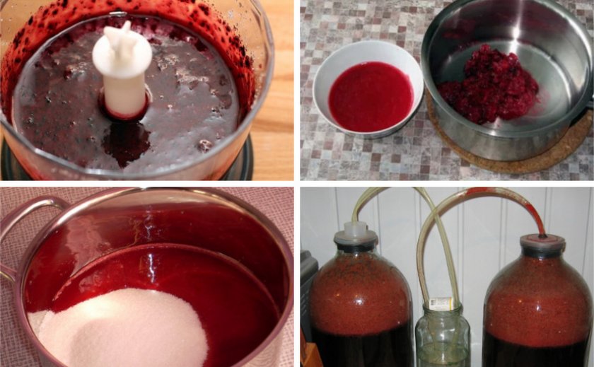 Приготовление вина из ягод бузины