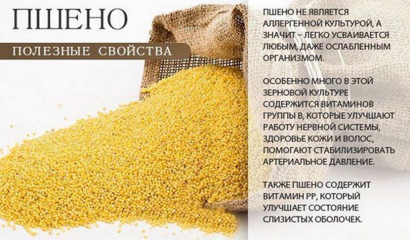 Полезные свойства пшена