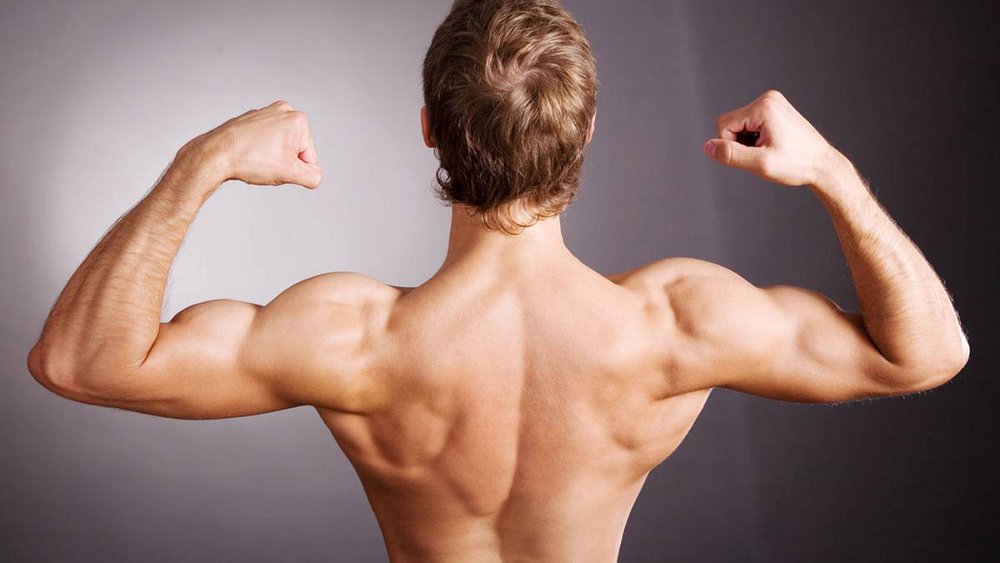 Упражнения для мышечного рельефа спины