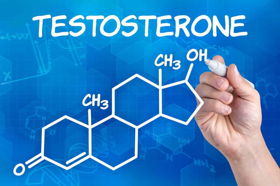 Для повышения уровня тестостерона нужна определенная диета