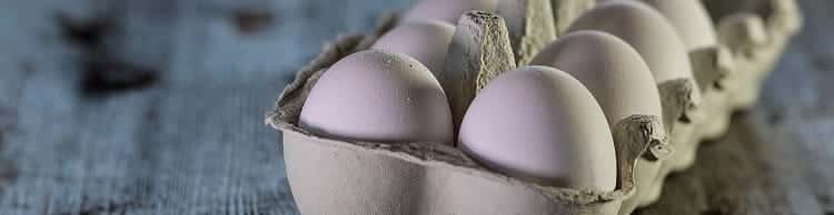 Вред и польза яиц - куриные яйца