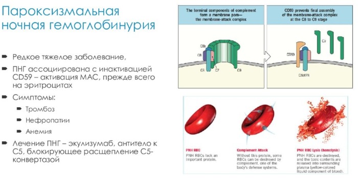 Красная моча у женщины. Причины боли, после 40-50 лет, с осадком, сгустки, при беременности