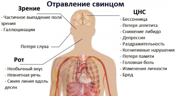 Красная моча у женщины. Причины боли, после 40-50 лет, с осадком, сгустки, при беременности