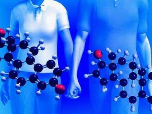 Химия в нашей жизни пища. Химия и организм человека