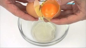 белок из яйца