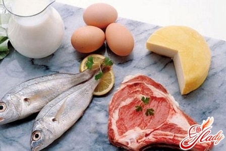 продукты при белковой диете
