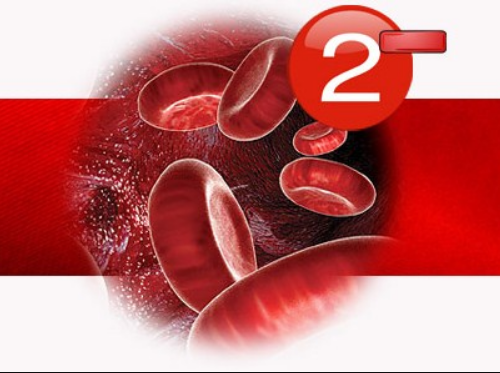 Группа крови 2 отрицательная характеристика, особенности, рекомендации