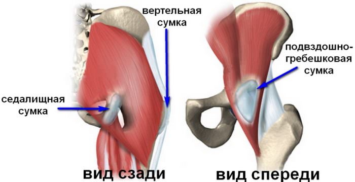 Суставная сумка