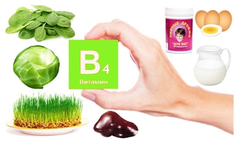 Продукты с содержанием витамина B4