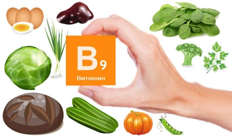 Продукты с содержанием витамина B9