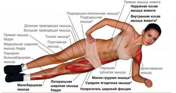 Упражнение планка: фото, как делать упражнение планка правильно, советы и рекомендации