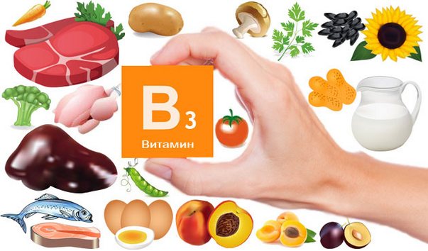 в каких продуктах витамин B3