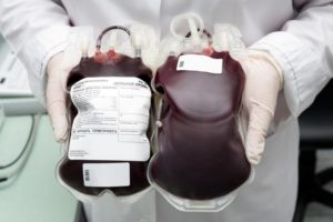 Обновление крови в организме человека