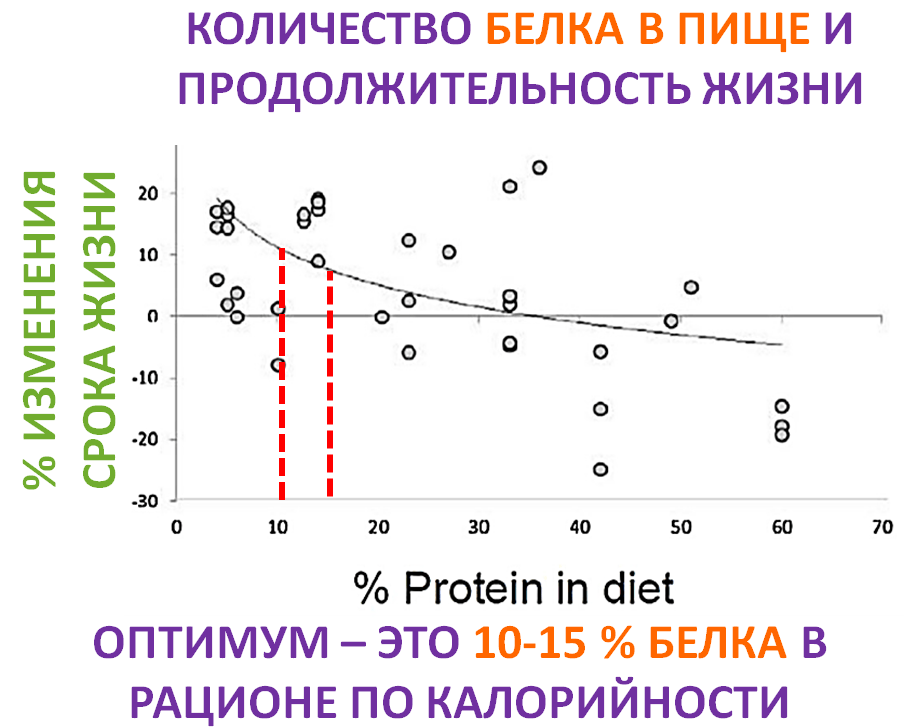 Это изображение имеет пустой атрибут alt; его имя файла - but_i_stil1.png