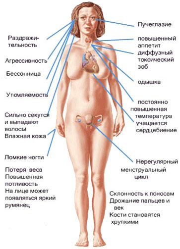 как проверить щитовидку в домашних условиях