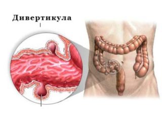 Органы брюшной полости