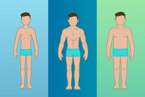 Типы фигуры мужчин. Что такое типы телосложения?