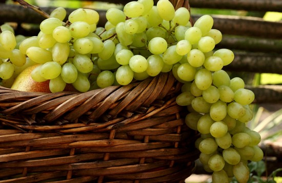 Ценность виноградных ягод для женщин