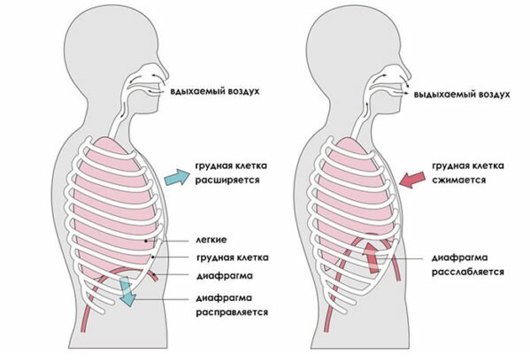 Во время выполнения упражнений важно соблюдать правильную технику дыхания