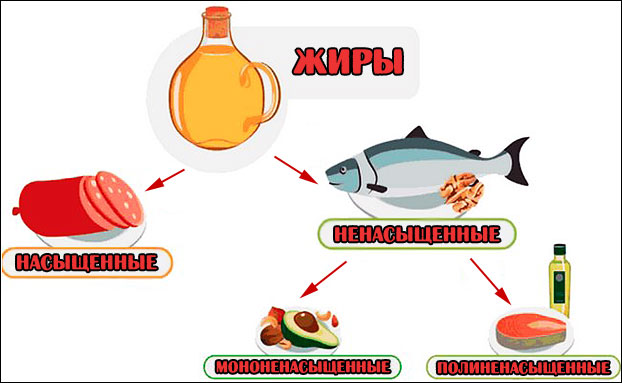 Источники насыщенных жиров рыба жирных сортов