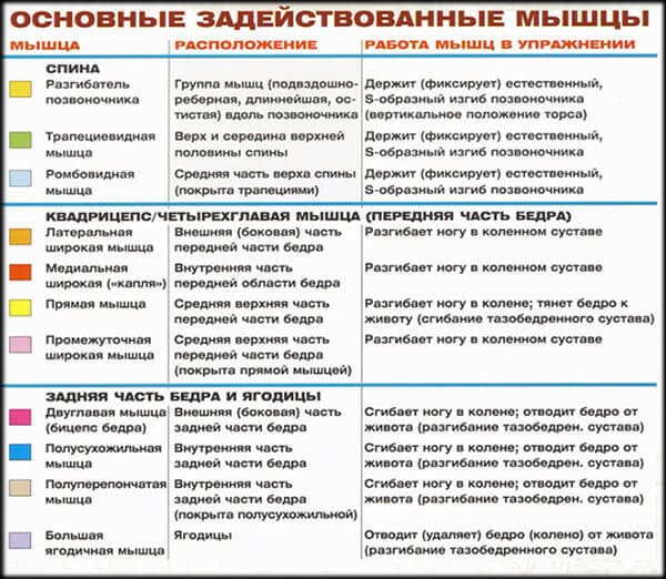 Задействованные мышцы в упражнении для мышц спины: классическая становая тяга