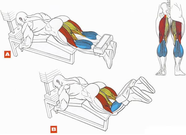 Техника выполнения упражнения: сгибание ног лежа в тренажере