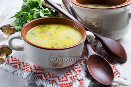 Фото рецепта Грибной крем-суп с сельдереем